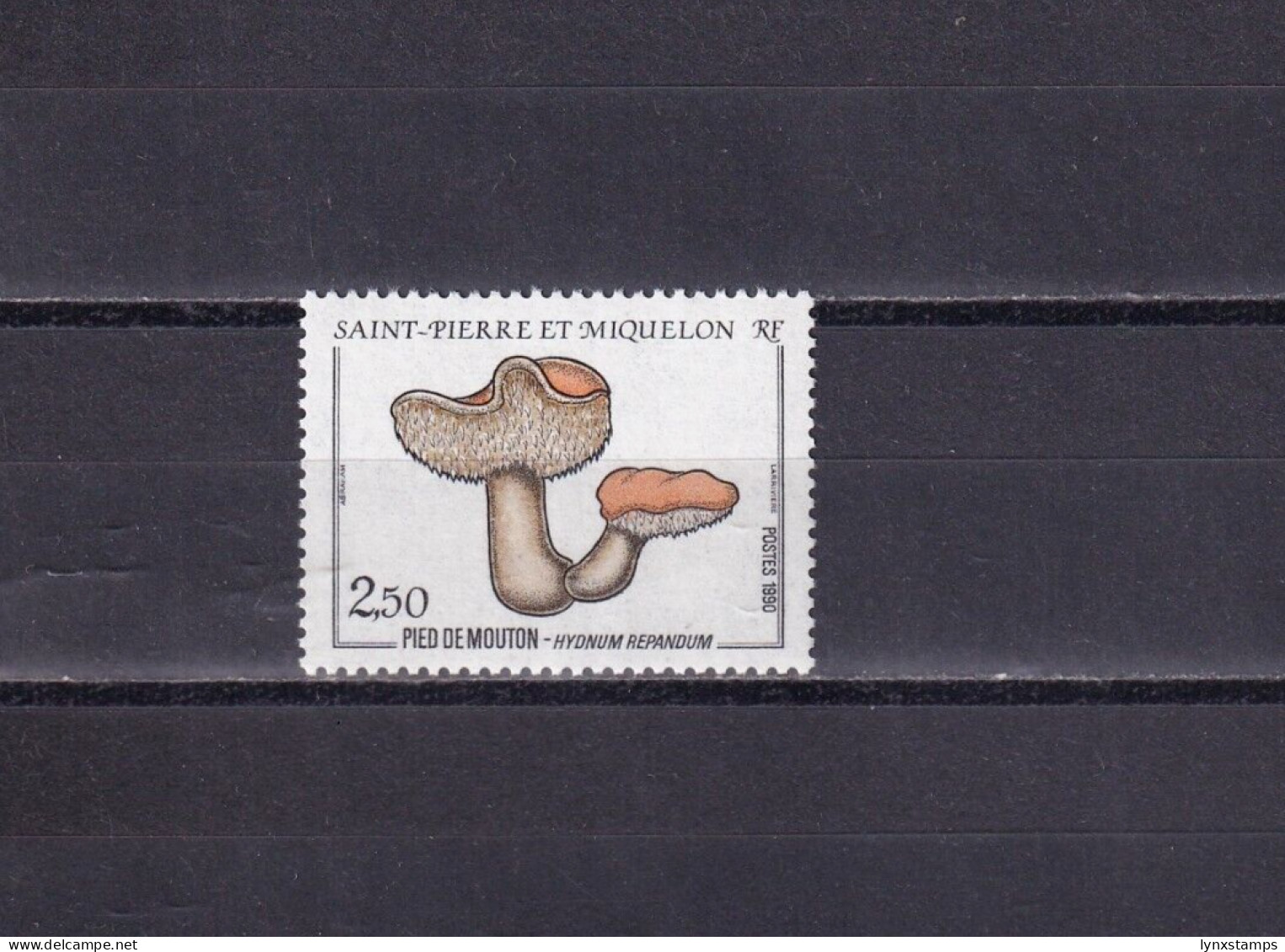 SA03 St Pierre Et Miquelon France 1990 Mushrooms Mint Stamp - Neufs