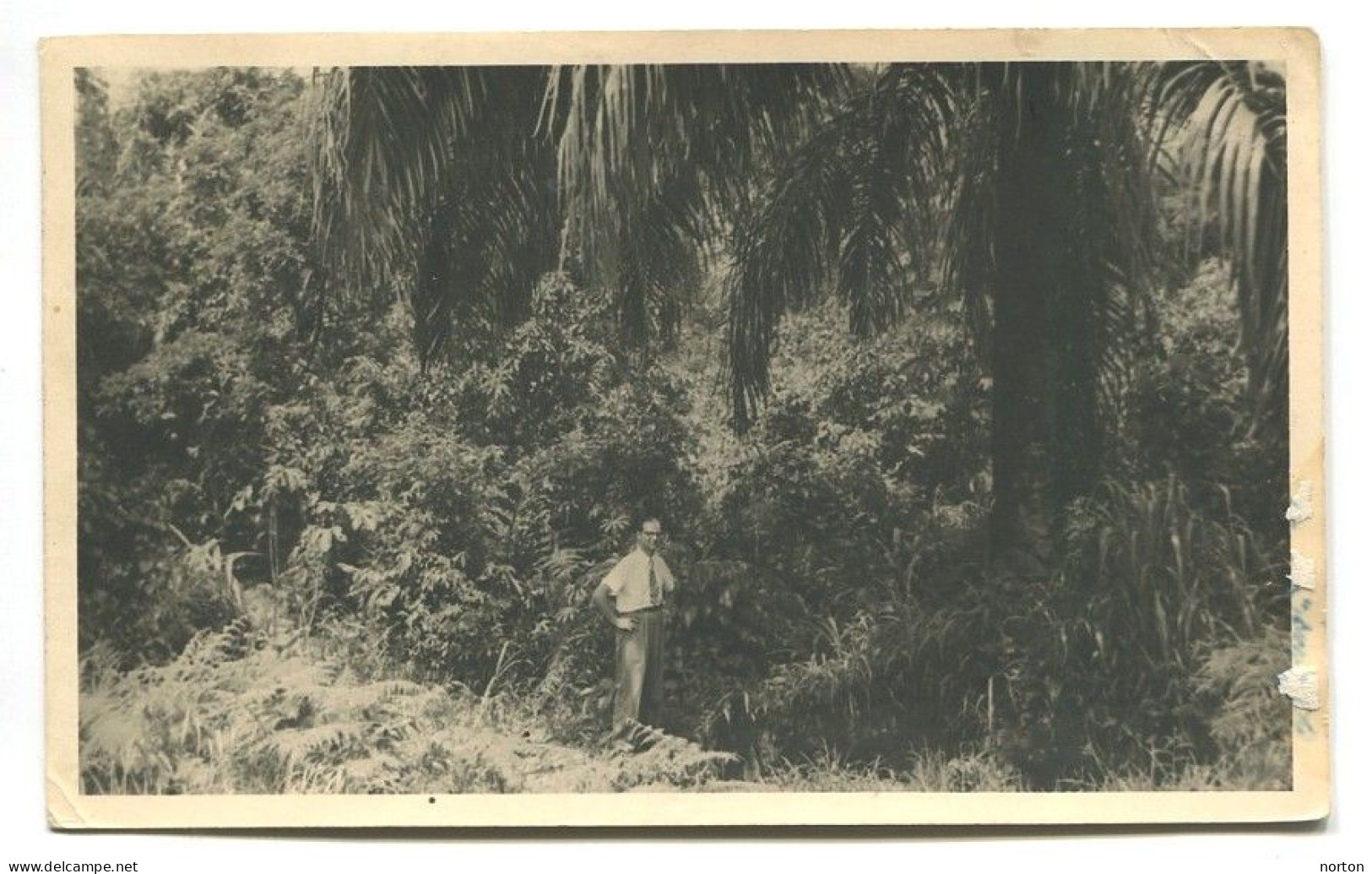 Congo Léopoldville 1 Oblit. Keach 10(.A.) Sur C.O.B. 288A + 300 Sur Carte Postale Vers Arsimont Le 31/12/1951 - Brieven En Documenten