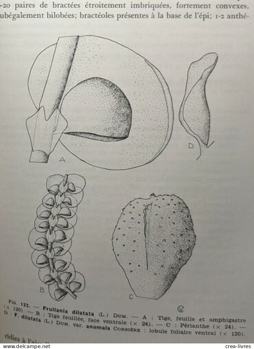 Bryophytes - VOLUME 1 Fascicules 1 à 3 + VOLUME 2 Fascicule I - édités Ente 1955 Et 1959 - Unclassified