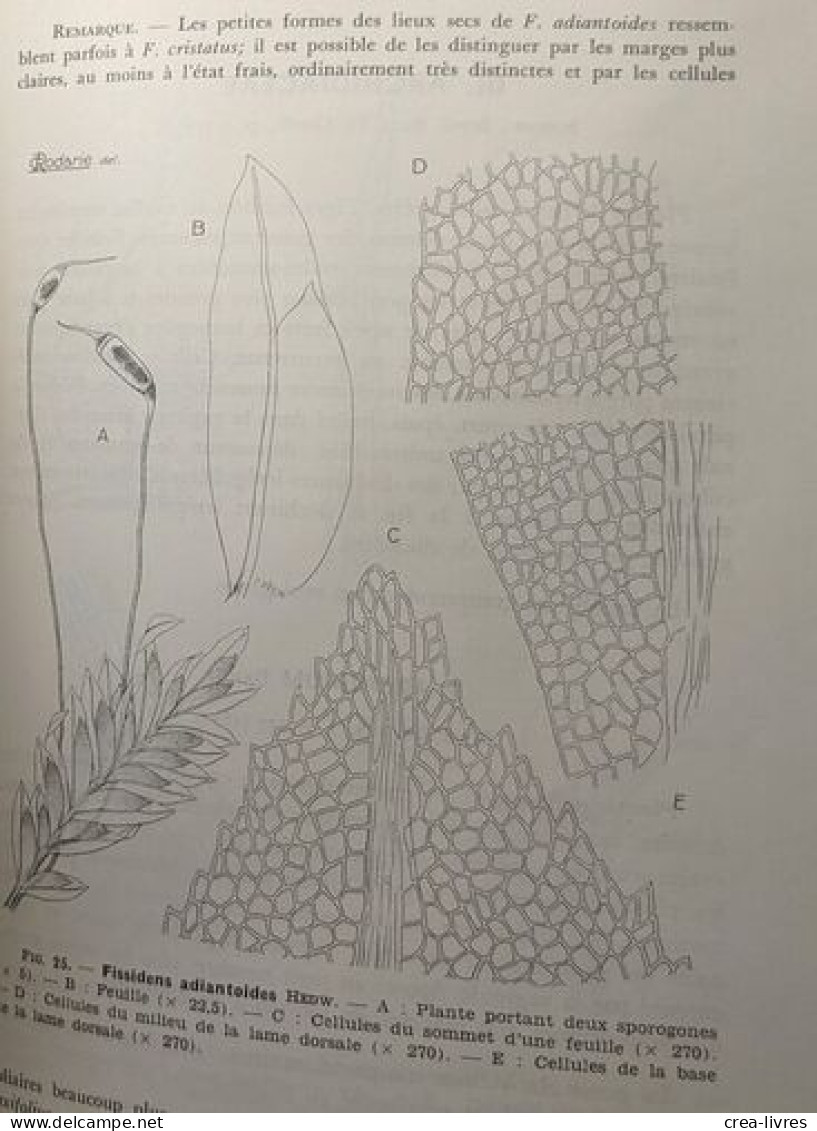 Bryophytes - VOLUME 1 fascicules 1 à 3 + VOLUME 2 fascicule I - édités ente 1955 et 1959