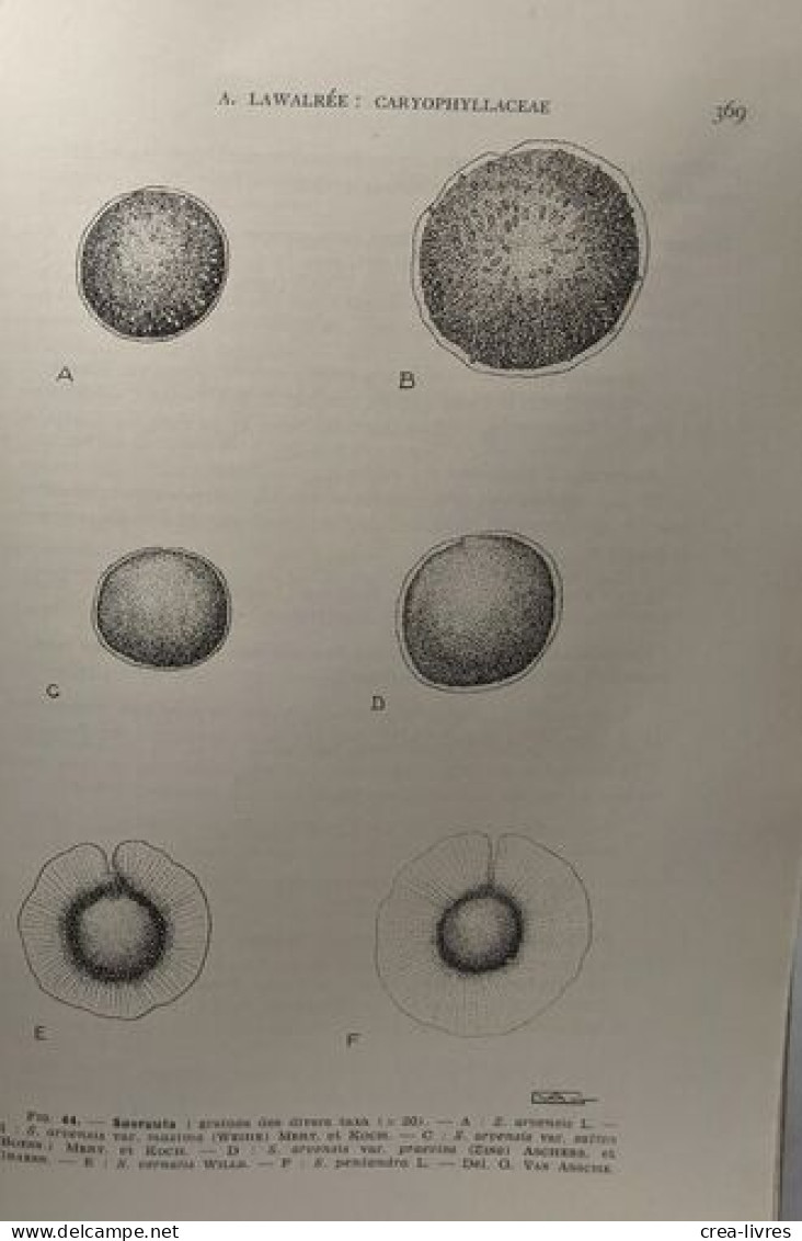 Spermatophytes / Flore Générale De Belgique - Volumes 1 Fasicules 1 à 3 - édités Ente 1952 Et 1954 - Unclassified