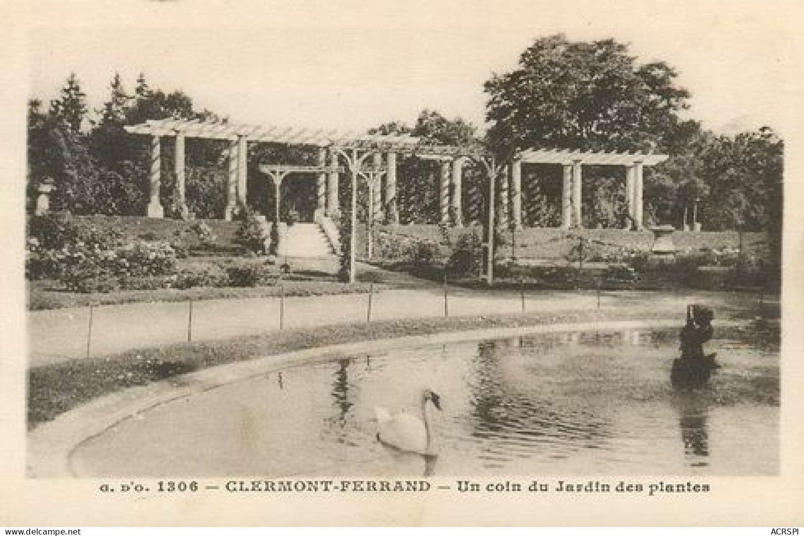 CLERMONT FERRAND  Le Cygne Au Jardin Des Plantes  27   (scan Recto-verso)MA2220Ter - Clermont Ferrand