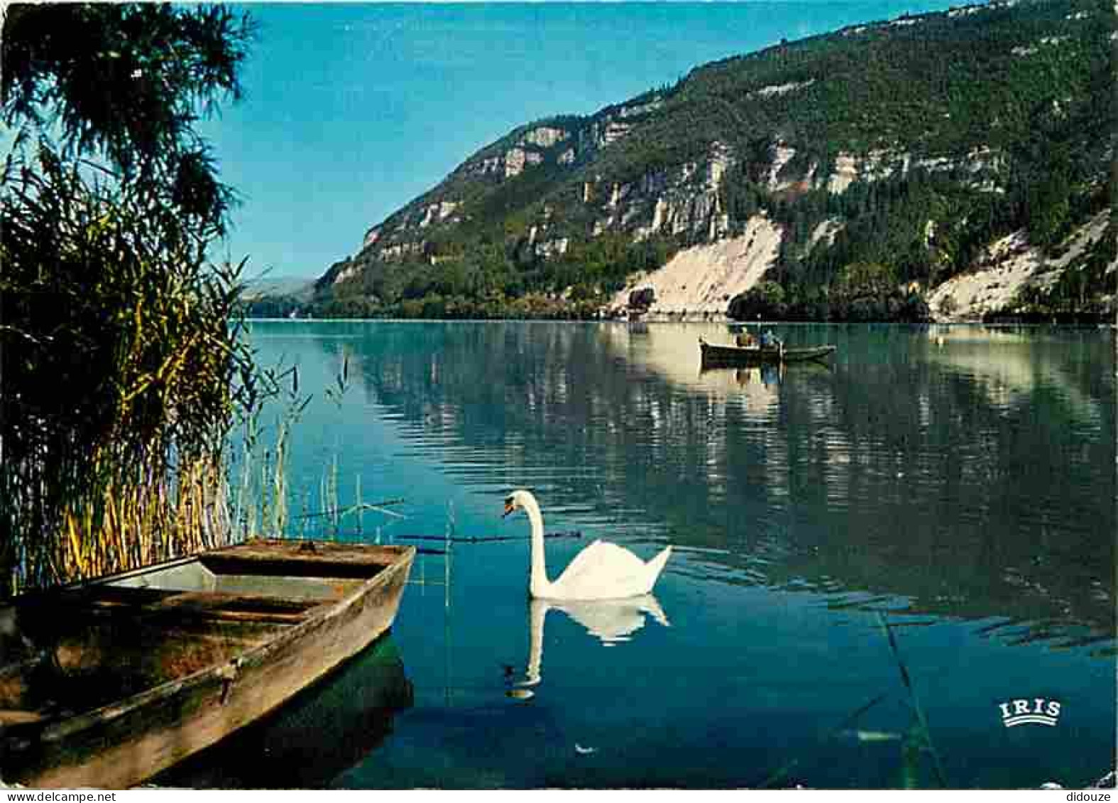01 - Nantua - Le Lac De Nantua - Cygnes - CPM - Voir Scans Recto-Verso  - Nantua