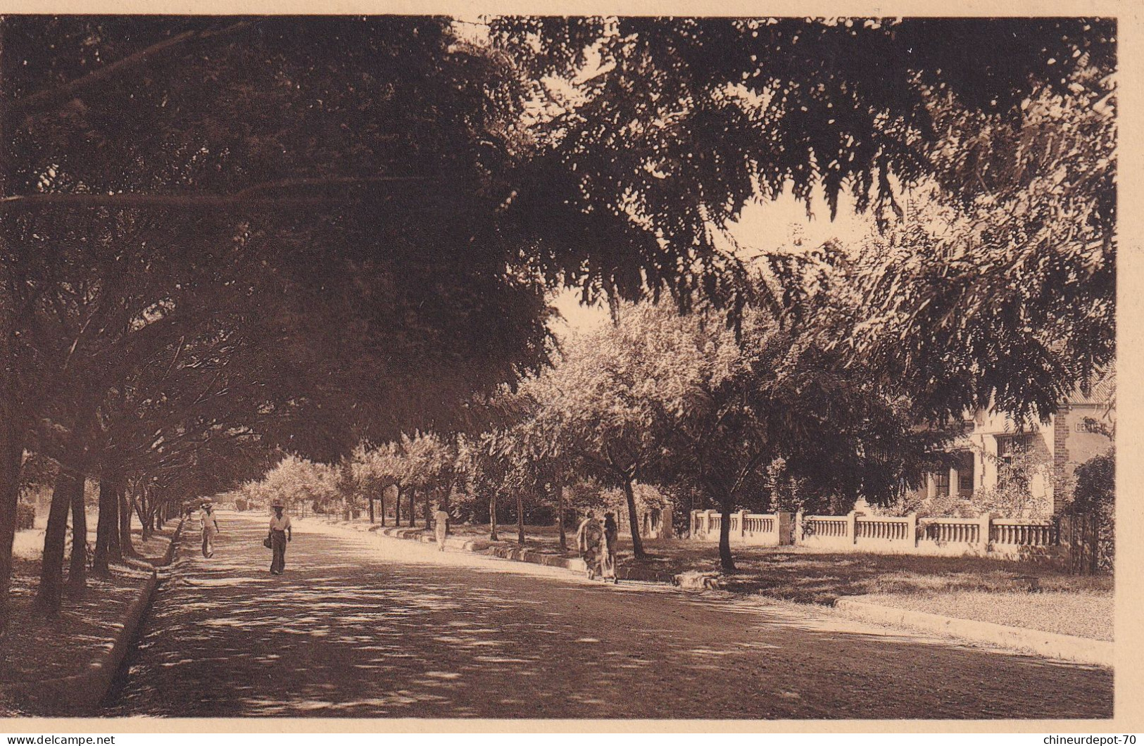 Elisabethville Avenue De Sankuru - Belgisch-Congo