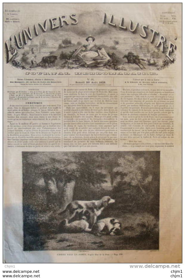 Chiens Dans La Forêt, D'après Diaz De La Pena -  Page Original 1859 - Historical Documents
