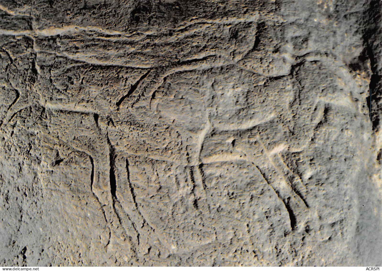Grottes D'Isturitz Et D'Oxocelhaya  HASPARREN CAMBO Gravure Parietal Rennes  69 (scan Recto-verso)MA2297 - Eaux Bonnes