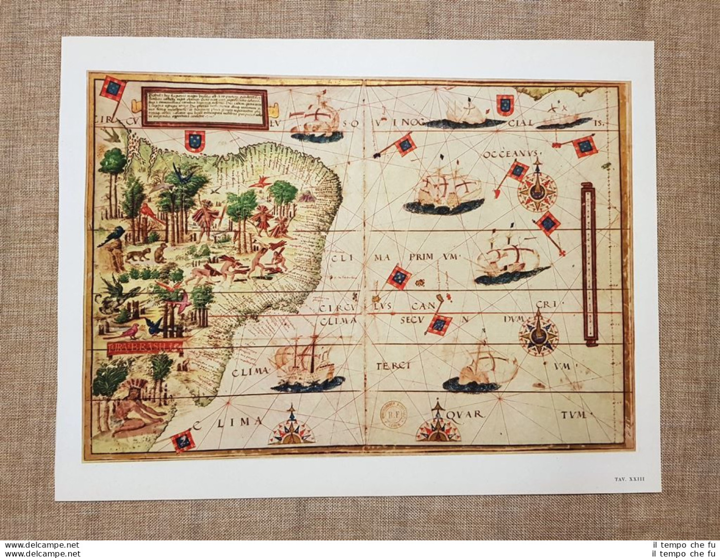 Carta Nautica Di Lopo Homen Nell'Atlas Miller Tavola Del 1950 Amerigo Vespucci - Geographical Maps