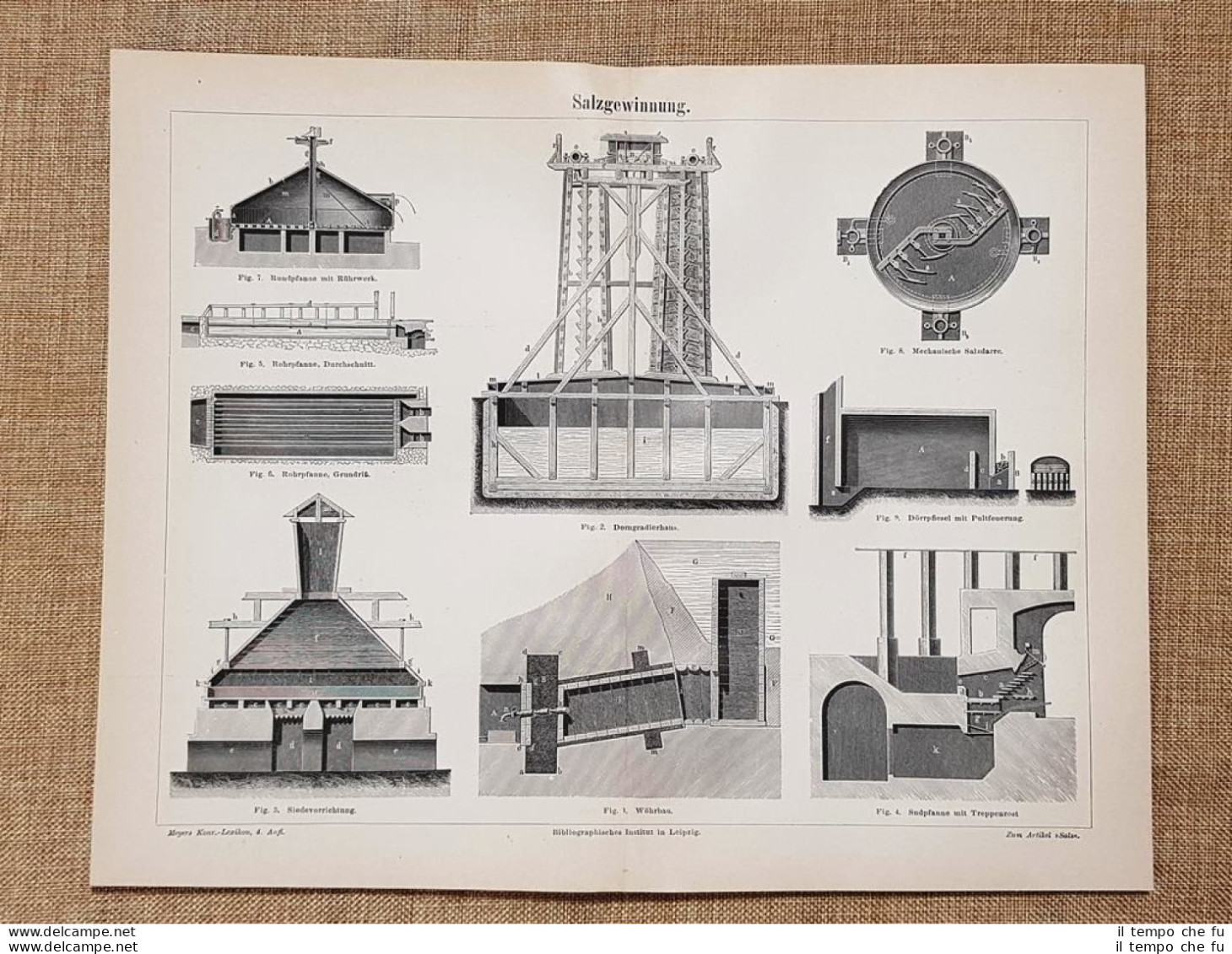 Il Processo Di Produzione Del Sale Tavola Del 1890 - Ante 1900