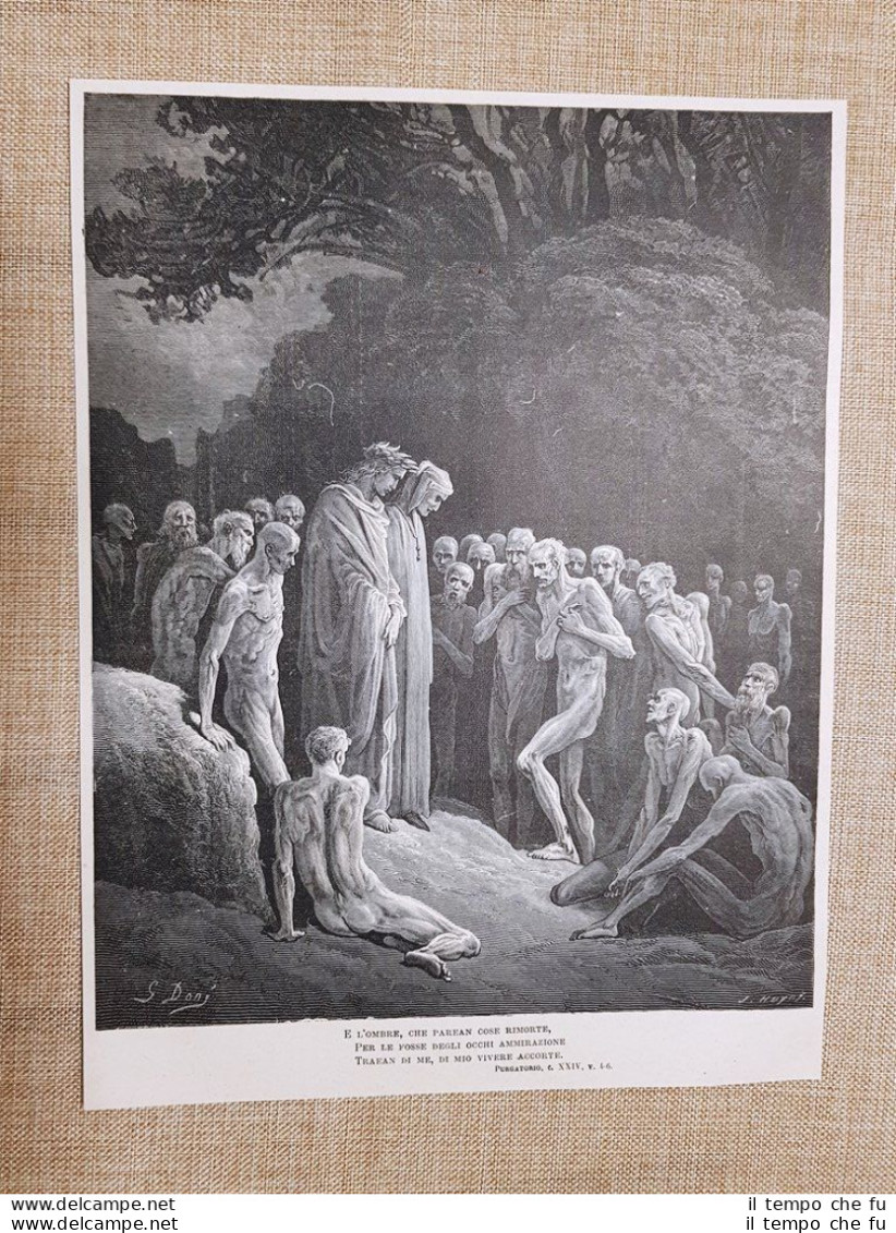 Buonagiunta Degli Urbiciani Divina Commedia Purgatorio Incisione Di G. Doré 1887 - Voor 1900