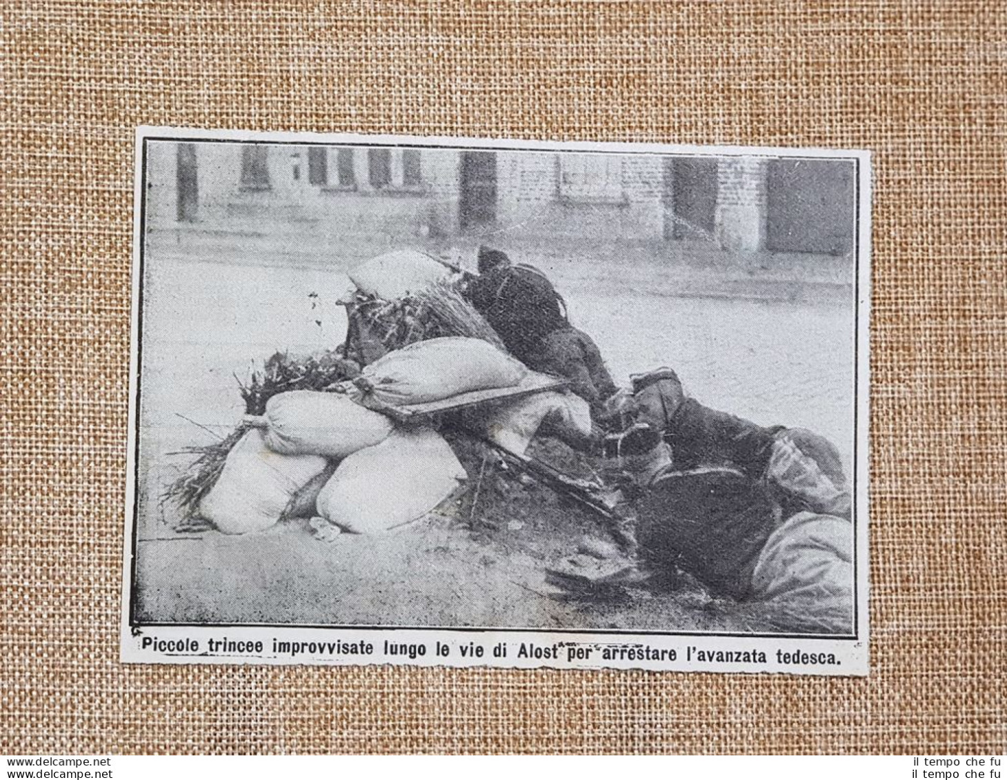 Aalst O Alost Nel 1914 Piccole Trincee Fiandre Belgio Prima Guerra Mondiale WW1 - Autres & Non Classés