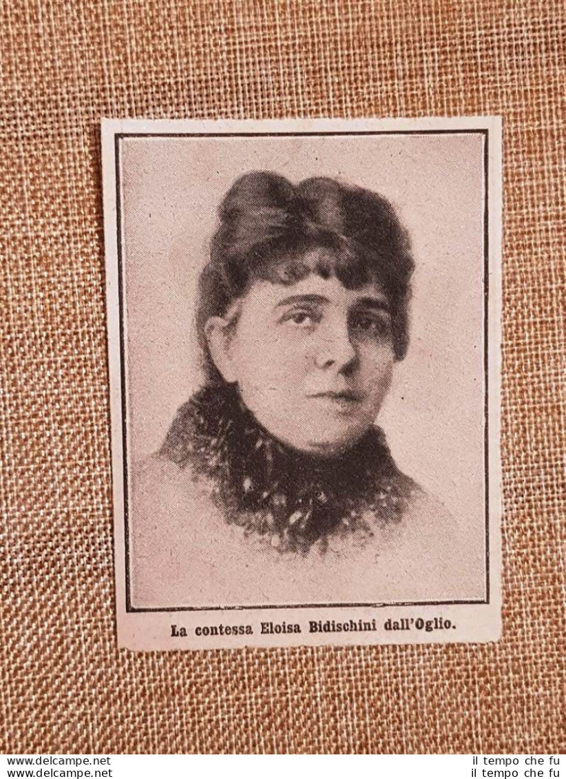 La Contessa Eloisa Bidischini Dall'Oglio Nel 1914 - Altri & Non Classificati