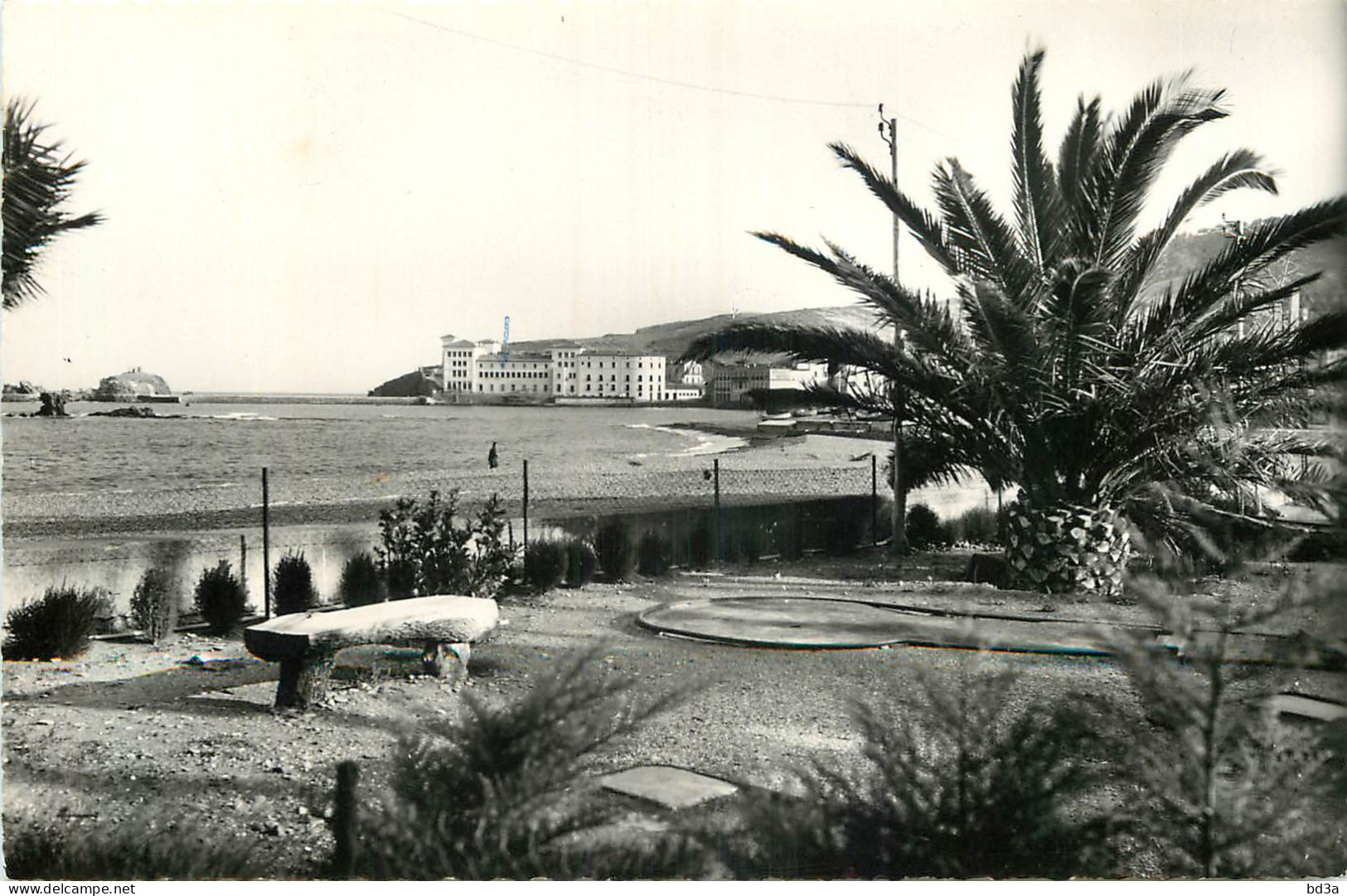 66 - BANYULS SUR MER - Banyuls Sur Mer