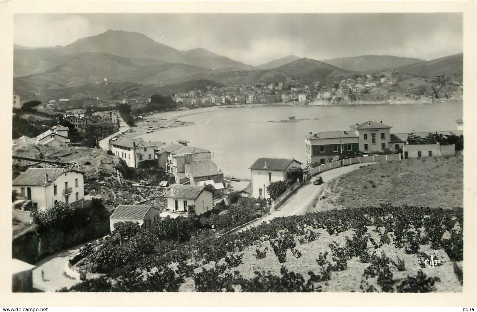 66 - BANYULS SUR MER - Banyuls Sur Mer