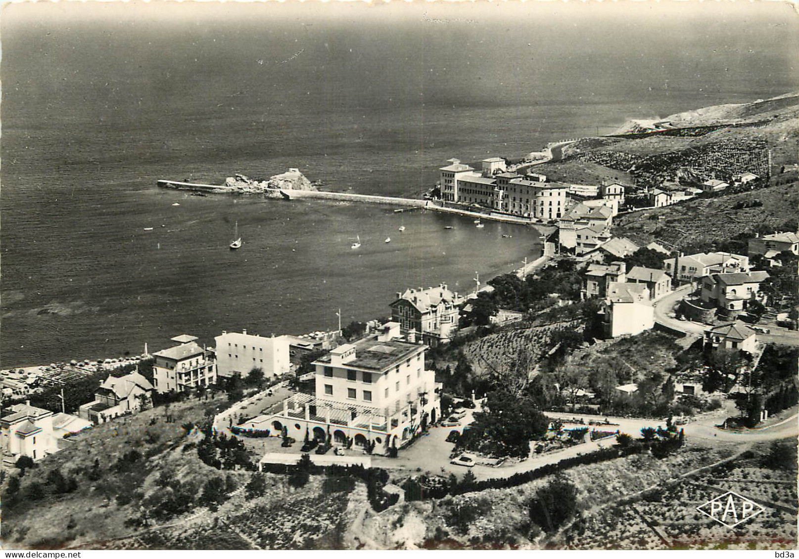 66 - BANYULS SUR MER  - Banyuls Sur Mer