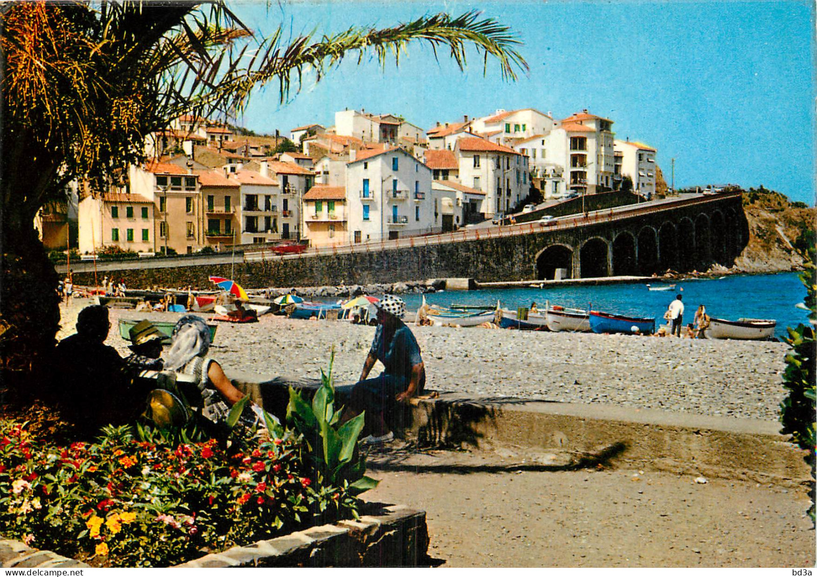 66 - BANYULS SUR MER  - Banyuls Sur Mer