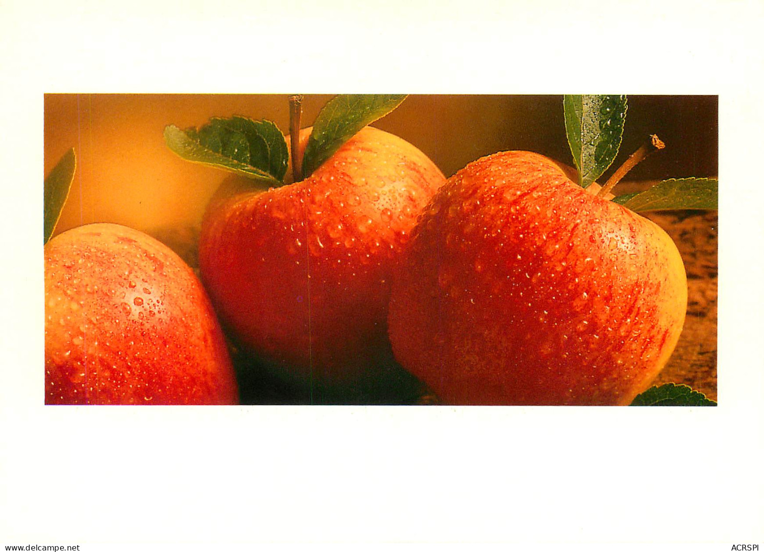 Recette  Pommes Apple Fruits   45  (scan Recto-verso)MA2288Bis - Recetas De Cocina