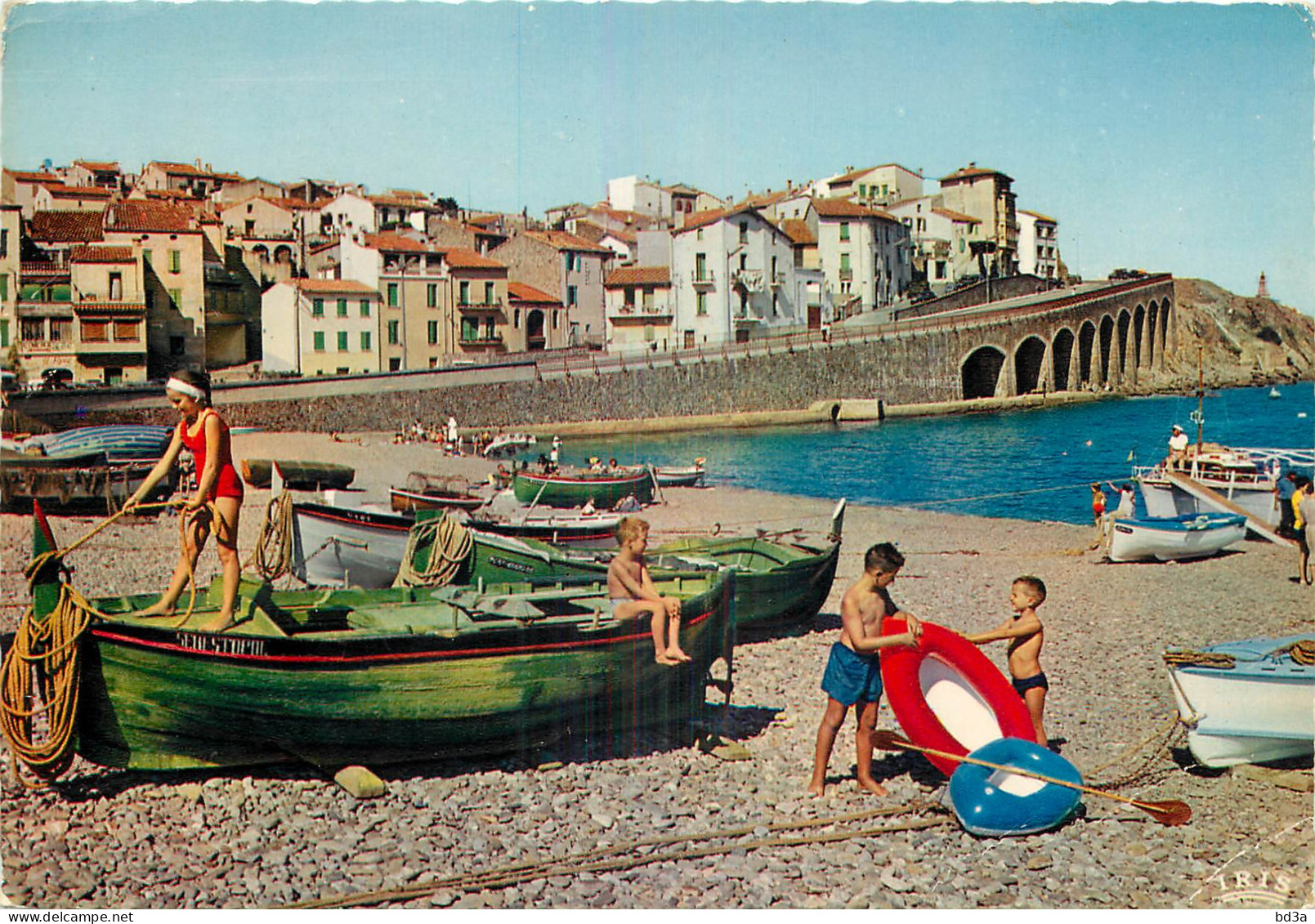 66 - BANYULS SUR MER  - Banyuls Sur Mer