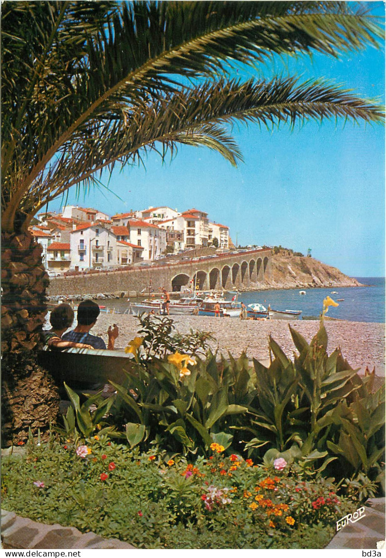 66 - BANYULS SUR MER  - Banyuls Sur Mer