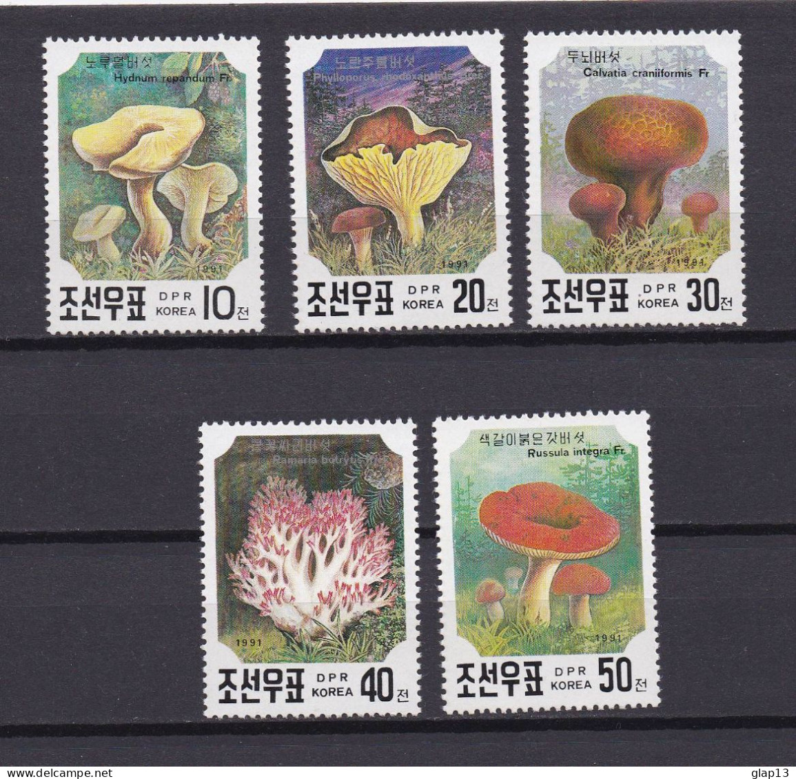 COREE DU NORD 1991 TIMBRE N°2217/21 NEUF** CHAMPIGNONS - Korea, North