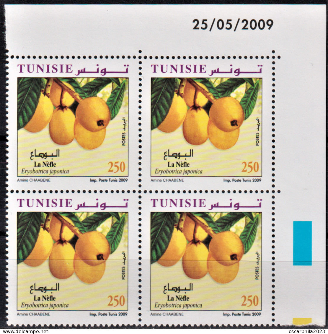 2009- Tunisie - Y&T 1639 -Fruits De Tunisie - La Néfle  - Bloc De 4coin Daté  4V MNH***** - Agriculture