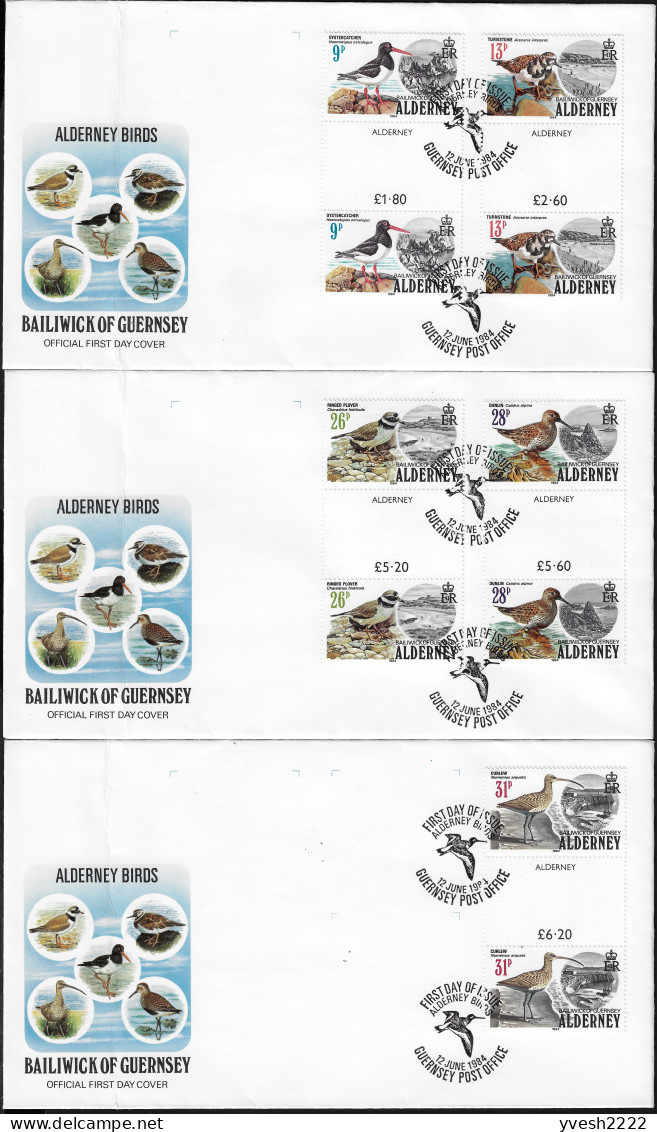 Aurigny, Alderney 1984 Y&T 13 à 17 En Paires Interpanneaux, Gutter Pairs. Oiseaux - Collections, Lots & Series