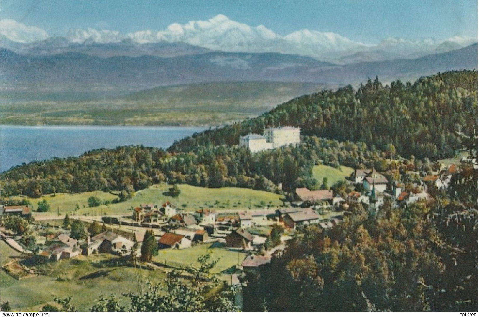 Vaud - St-Cergue Et Le Mont Blanc - Saint-Cergue