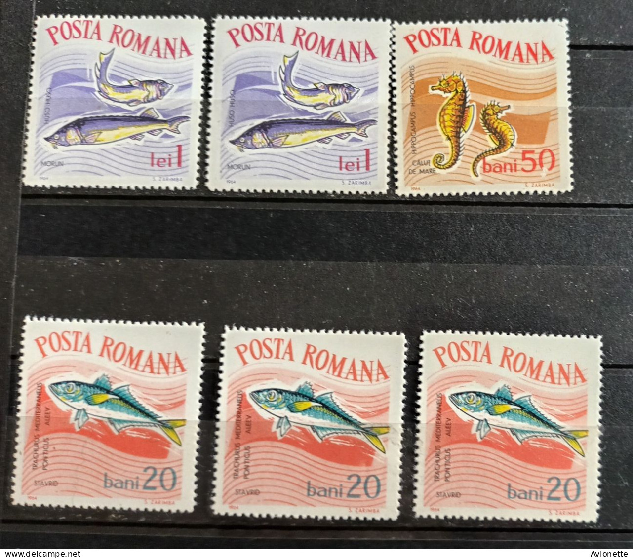 Posta Romana 1964 (16 Timbres Neufs) Poissons - Ongebruikt