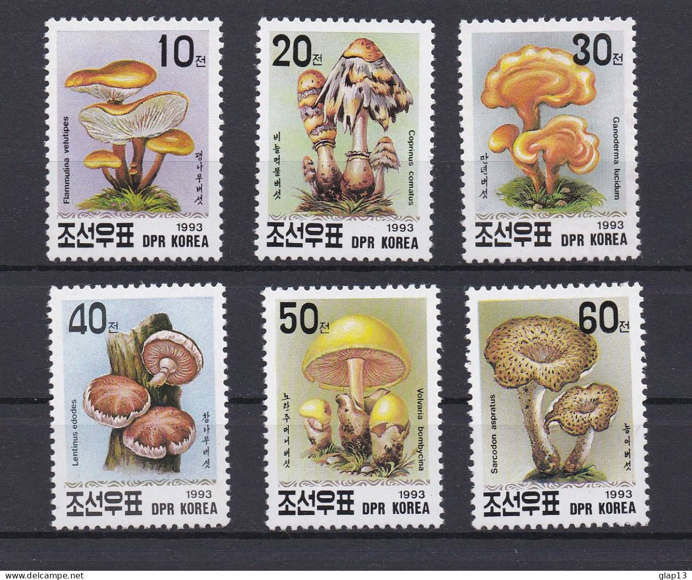 COREE DU NORD 1993 TIMBRE N°2356/61 NEUF** CHAMPIGNONS - Korea, North