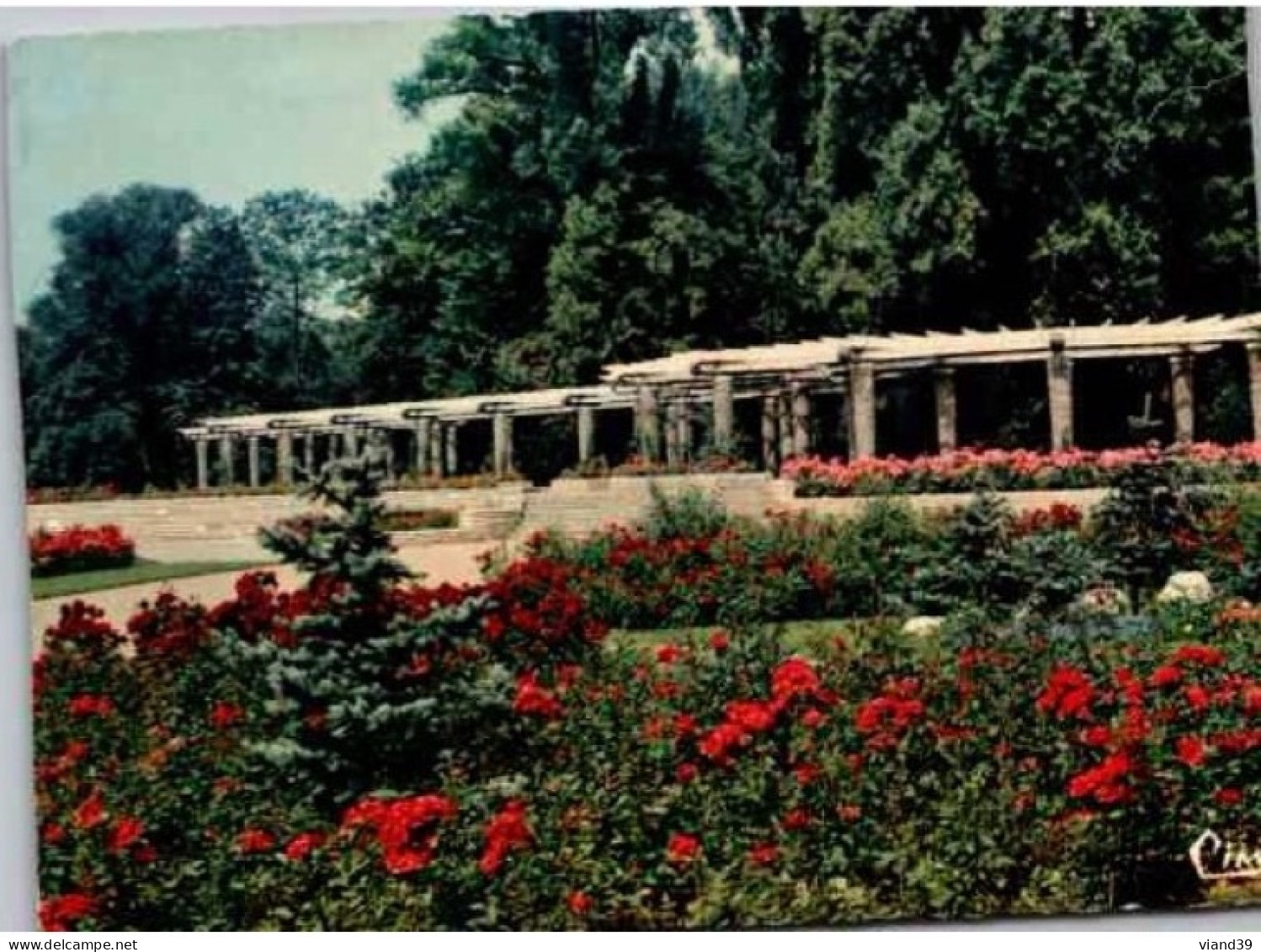 LYON. - Le Parc De La Tête D'Or, La Roseraie - Lyon 7