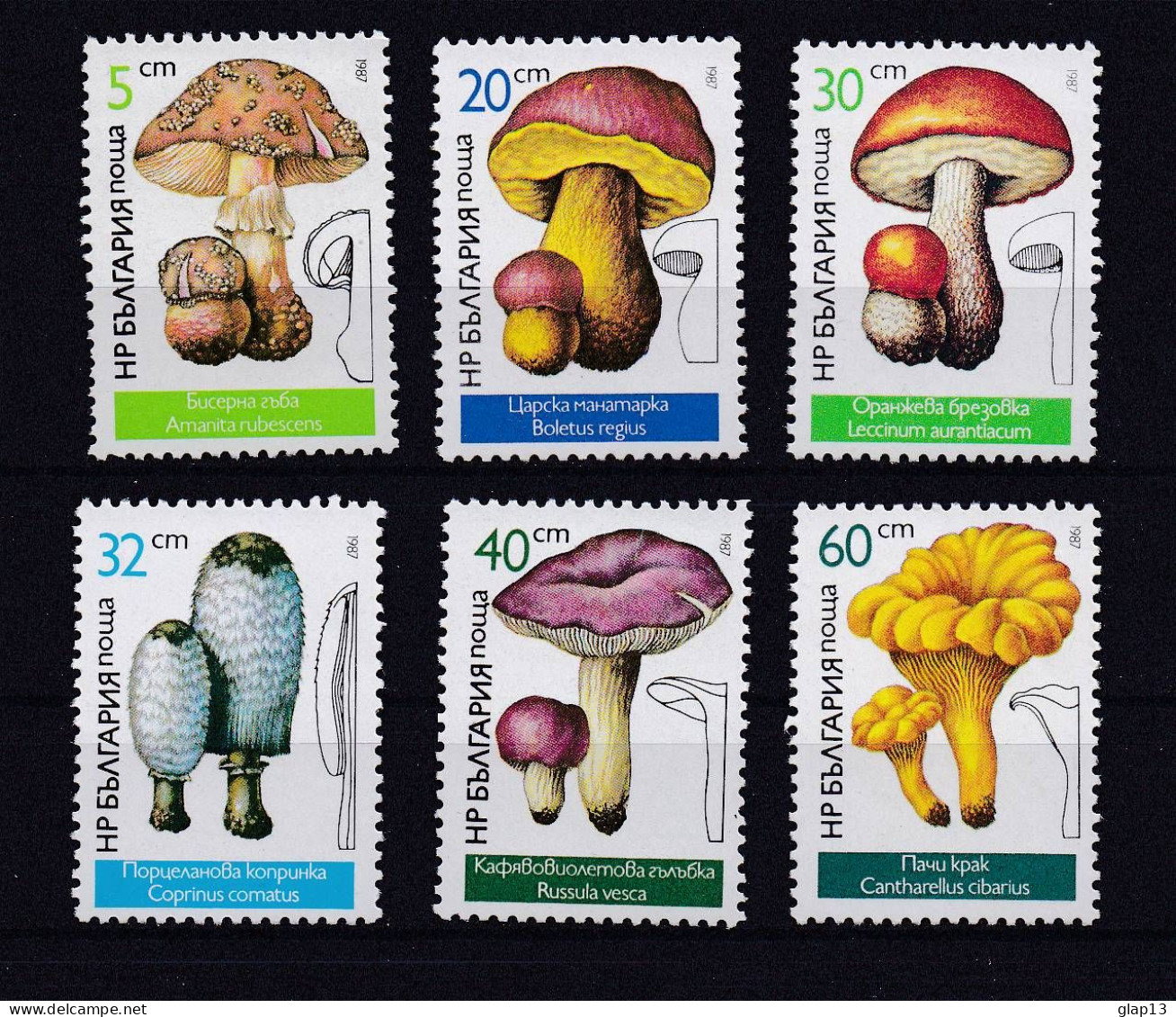 BULGARIE 1987 TIMBRE N°3071/77 NEUF** CHAMPIGNONS - Nuevos