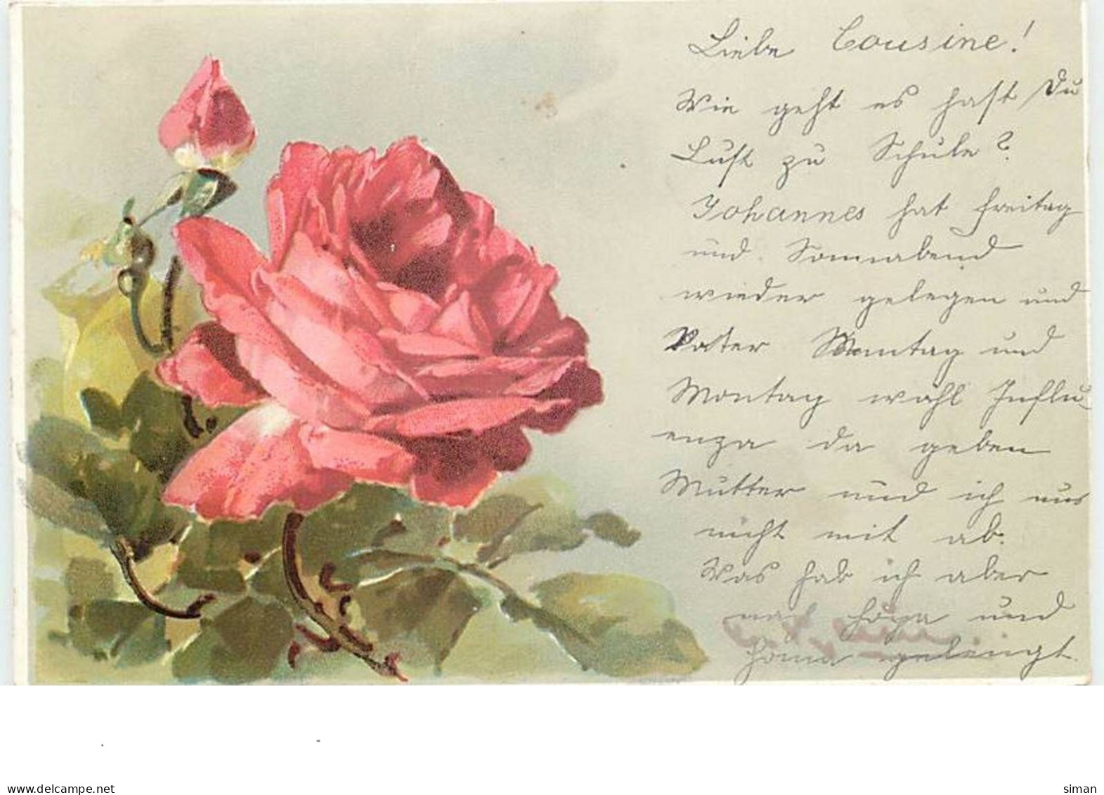 N°12551 - C. Klein - Rose Rouge - Klein, Catharina