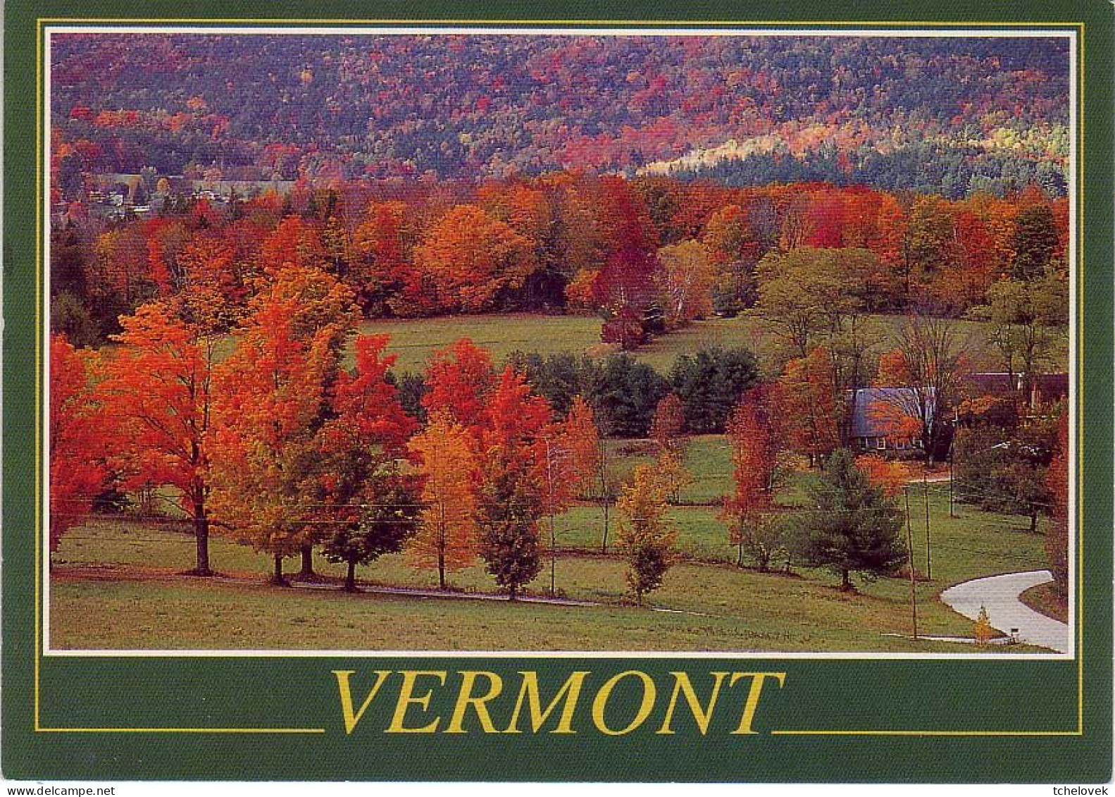 (99). USA. Vermont. Vibrant Autumn Autonne - Andere & Zonder Classificatie