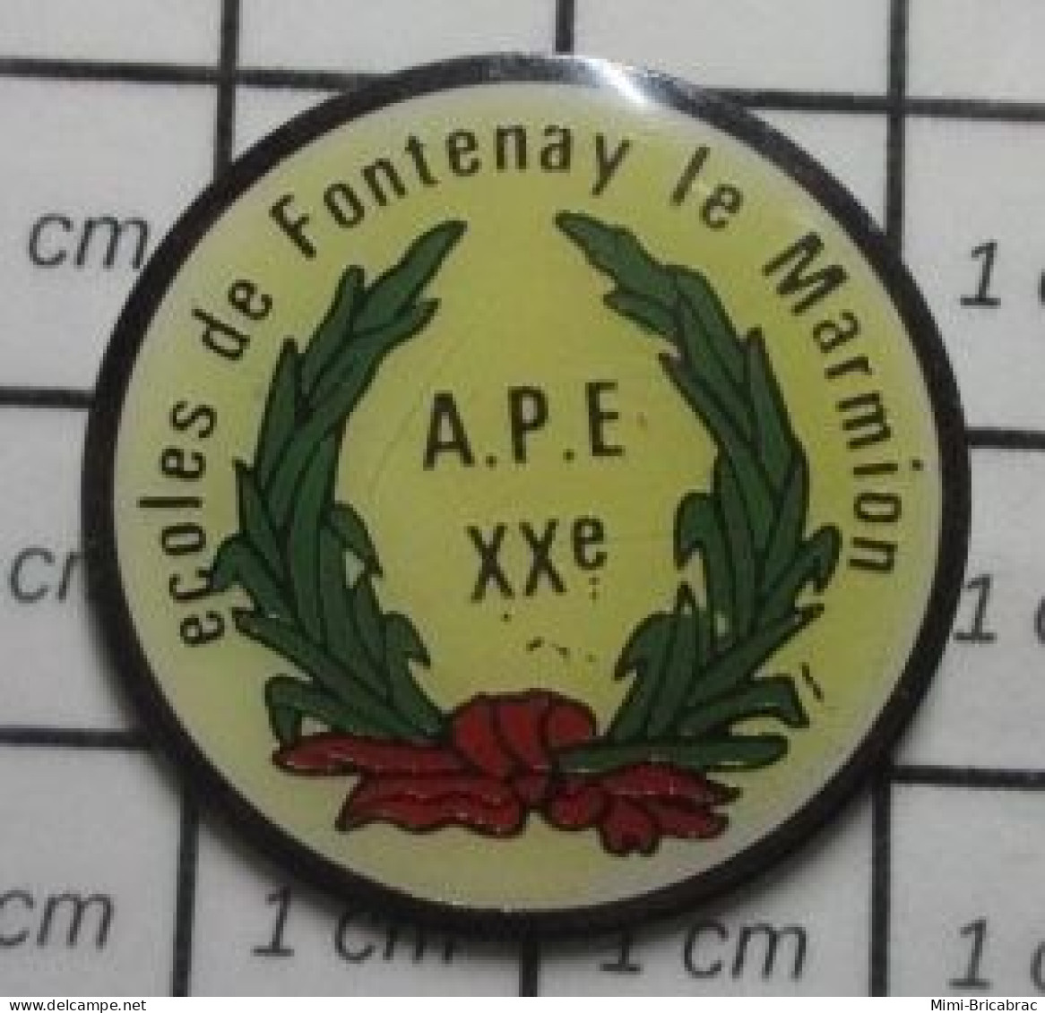 1920 Pin's Pins / Beau Et Rare / ADMINISTRATIONS / ECOLES DE FONTENAY LE MARMION APE XXe - Administración