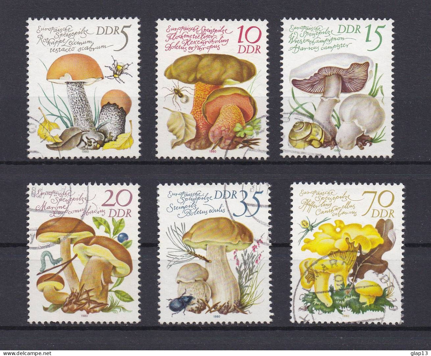 ALLEMAGNE DEMOCRATIQUE 1980 TIMBRE N°2210/15 OBLITERE CHAMPIGNONS - Used Stamps