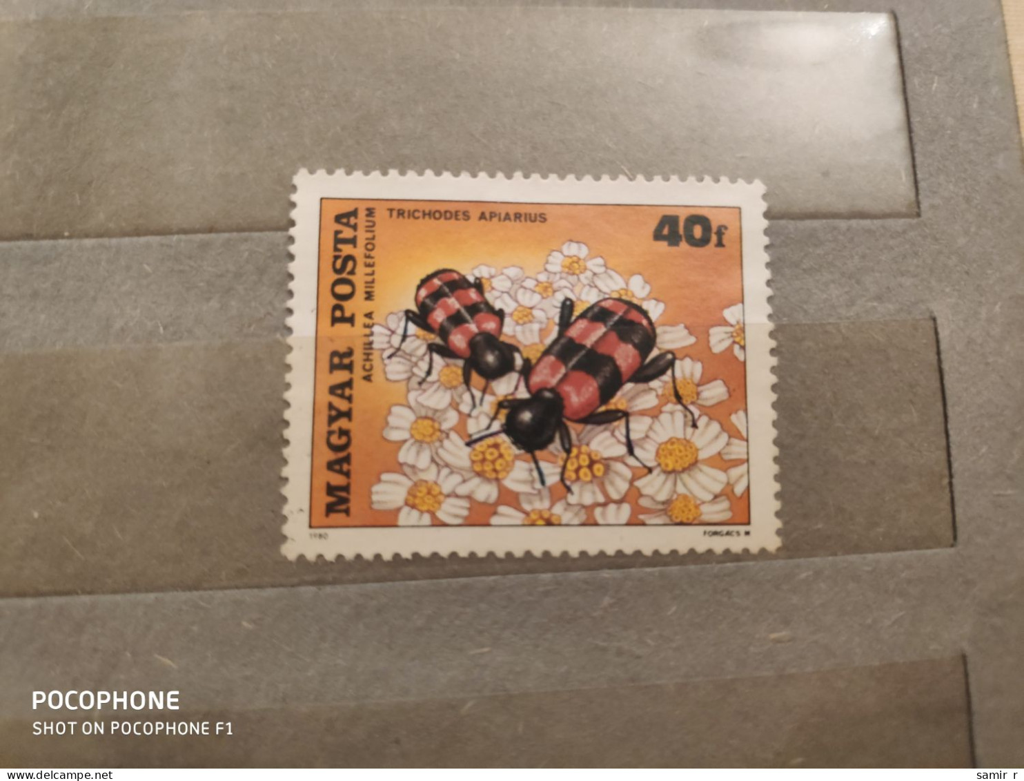 1980	Hungary	Bees (F85) - Oblitérés