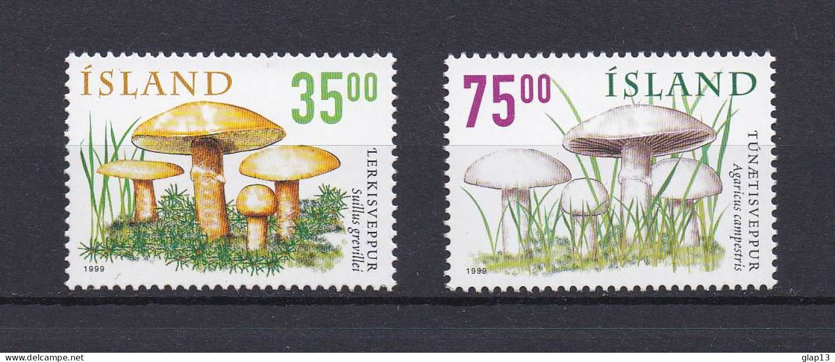 ISLANDE 1999 TIMBRE N°868/69 NEUF** CHAMPIGNONS - Ungebraucht