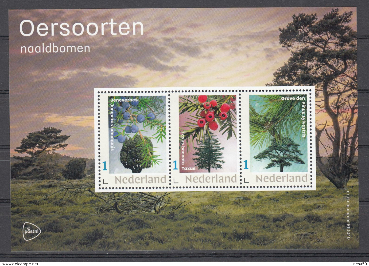 Nederland  Persoonlijke Zegels PostNL: Oersoorten, Naaldbomen: Jenerbes, Taxus, Grove Den - Unused Stamps