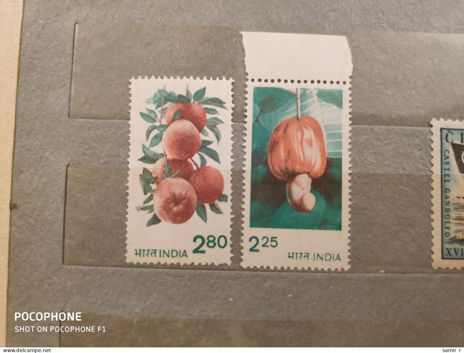 India	Fruits (F85) - Unused Stamps