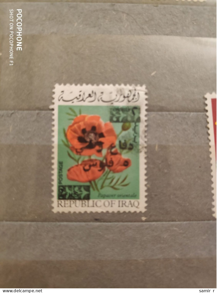 Iraq	Flowers (F85) - Irak