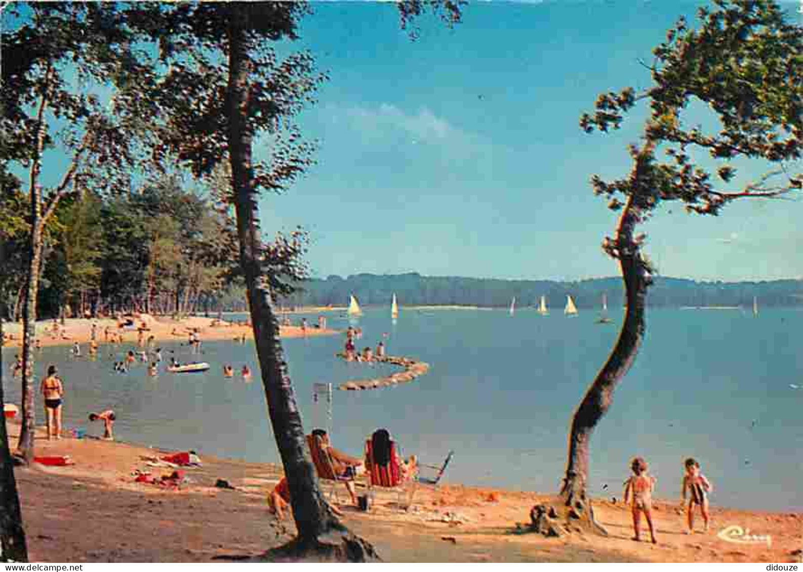 72 - Sillé Le Guillaume - Sillé Plage - La Foret Domaniale - Le Lac - Scènes De Plage - CPM - Voir Scans Recto-Verso - Sille Le Guillaume