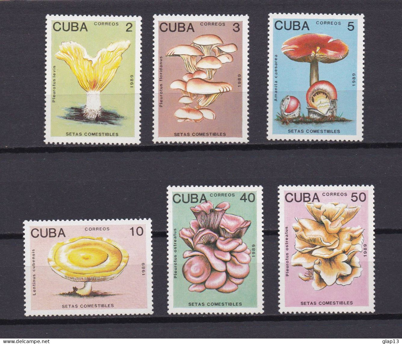 CUBA 1989 TIMBRE N°2907/12 NEUF** CHAMPIGNONS - Unused Stamps