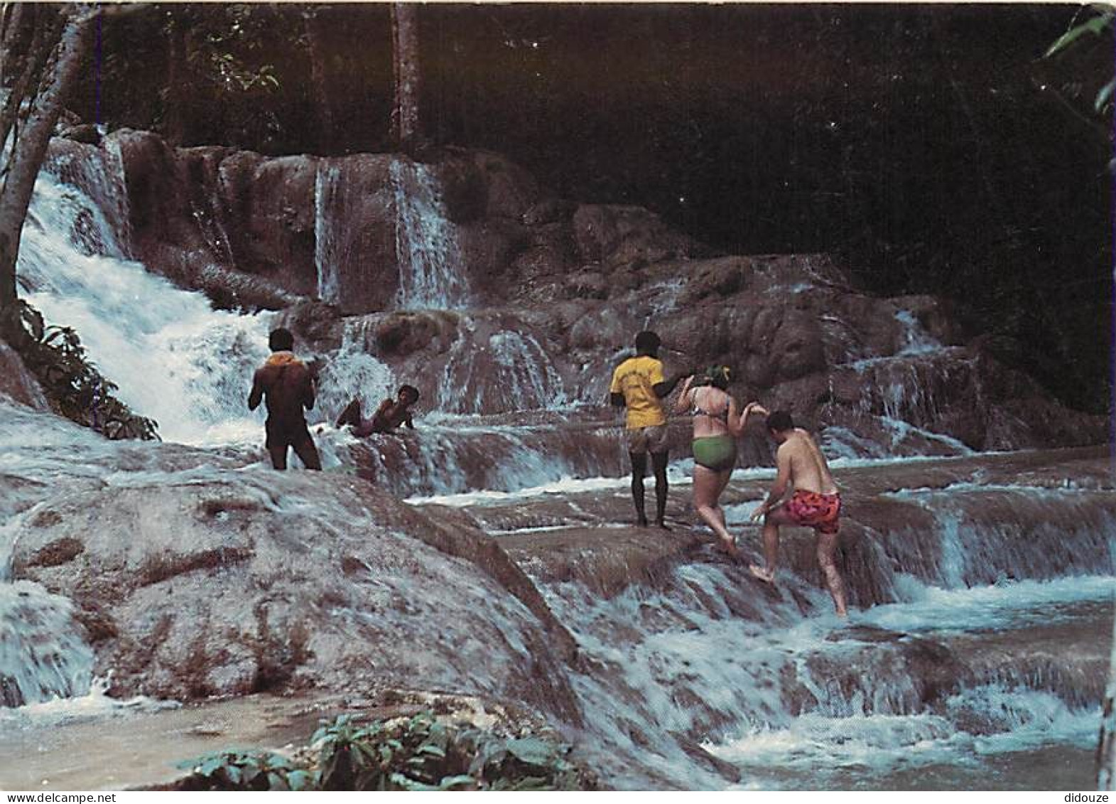 Antilles - Jamaïque - Jamaica - Follow The Leader, Climbing Dunn's River Falls - "FOLLOWTHE LEADER," CLIMBING DUNN'S RIV - Jamaica