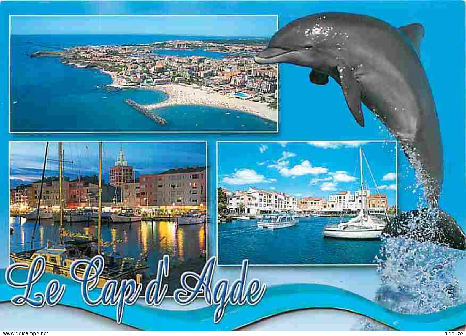 Animaux - Dauphins - Cap D'Agde - Multivues - CPM - Voir Scans Recto-Verso - Delfines