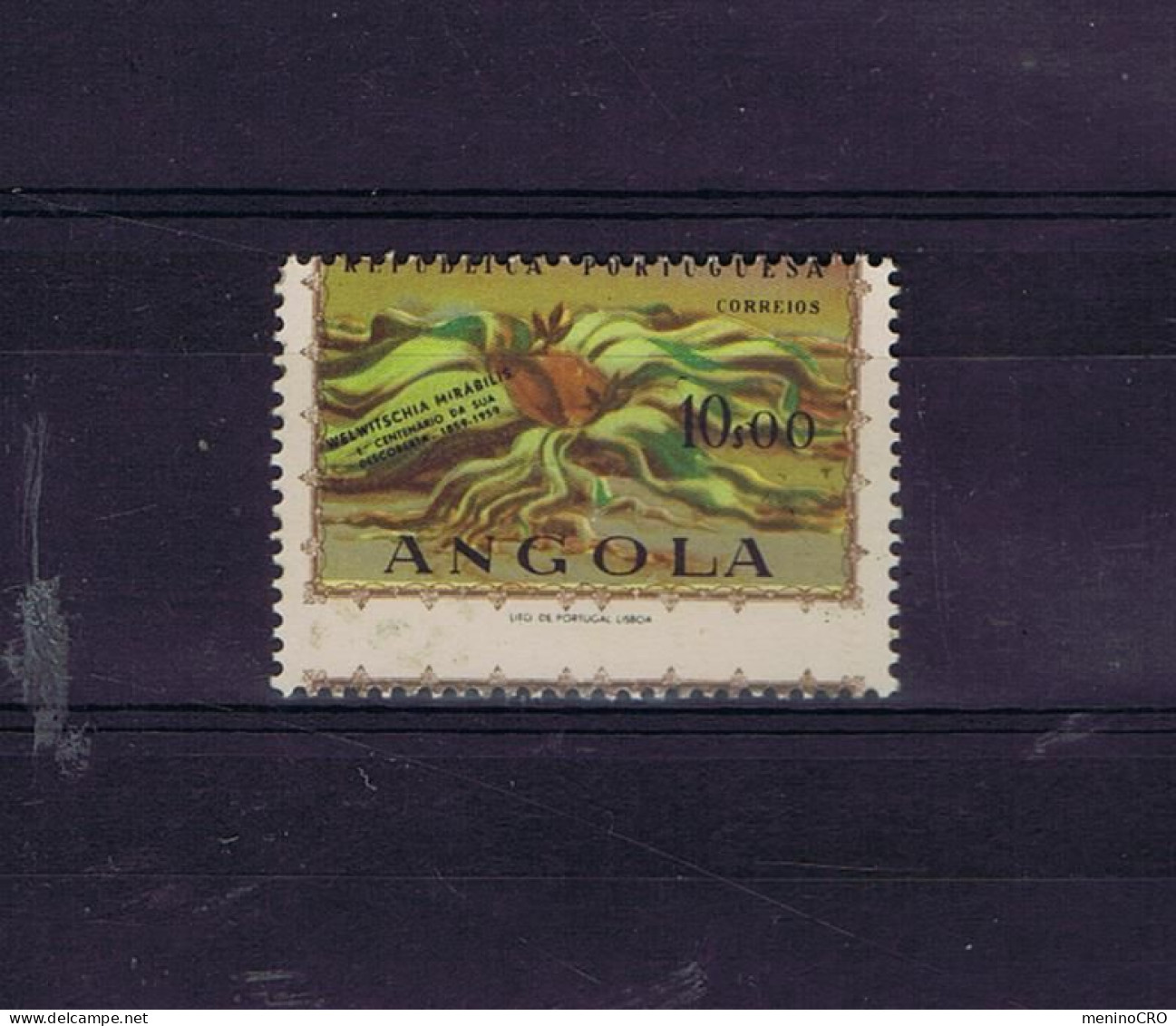 #9431 ANGOLA 10$ WELWITSCHIA MIRÁBILIS Plants Flowers Fleurs Flora Portugal 1959 /very RARE ERROR Mint Desert MOÇÂMEDES - Plantas Tóxicas