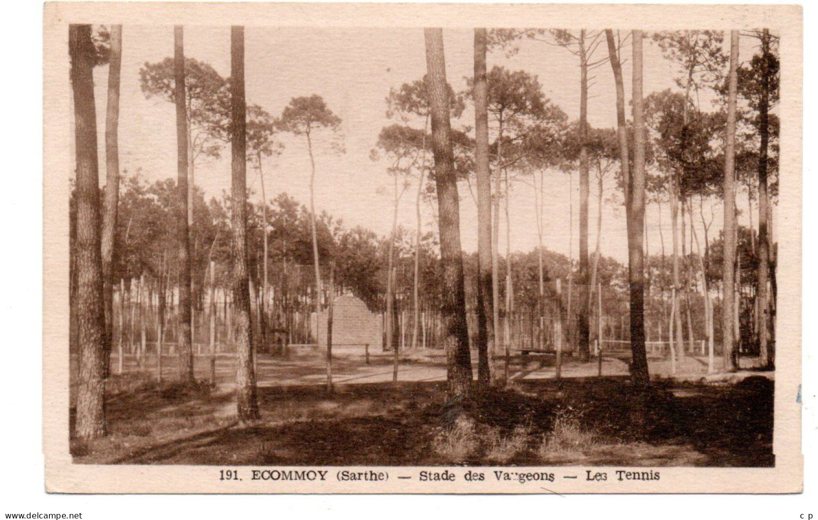 Ecommoy - Stade Des Vaugeons -  CPA °J - Ecommoy