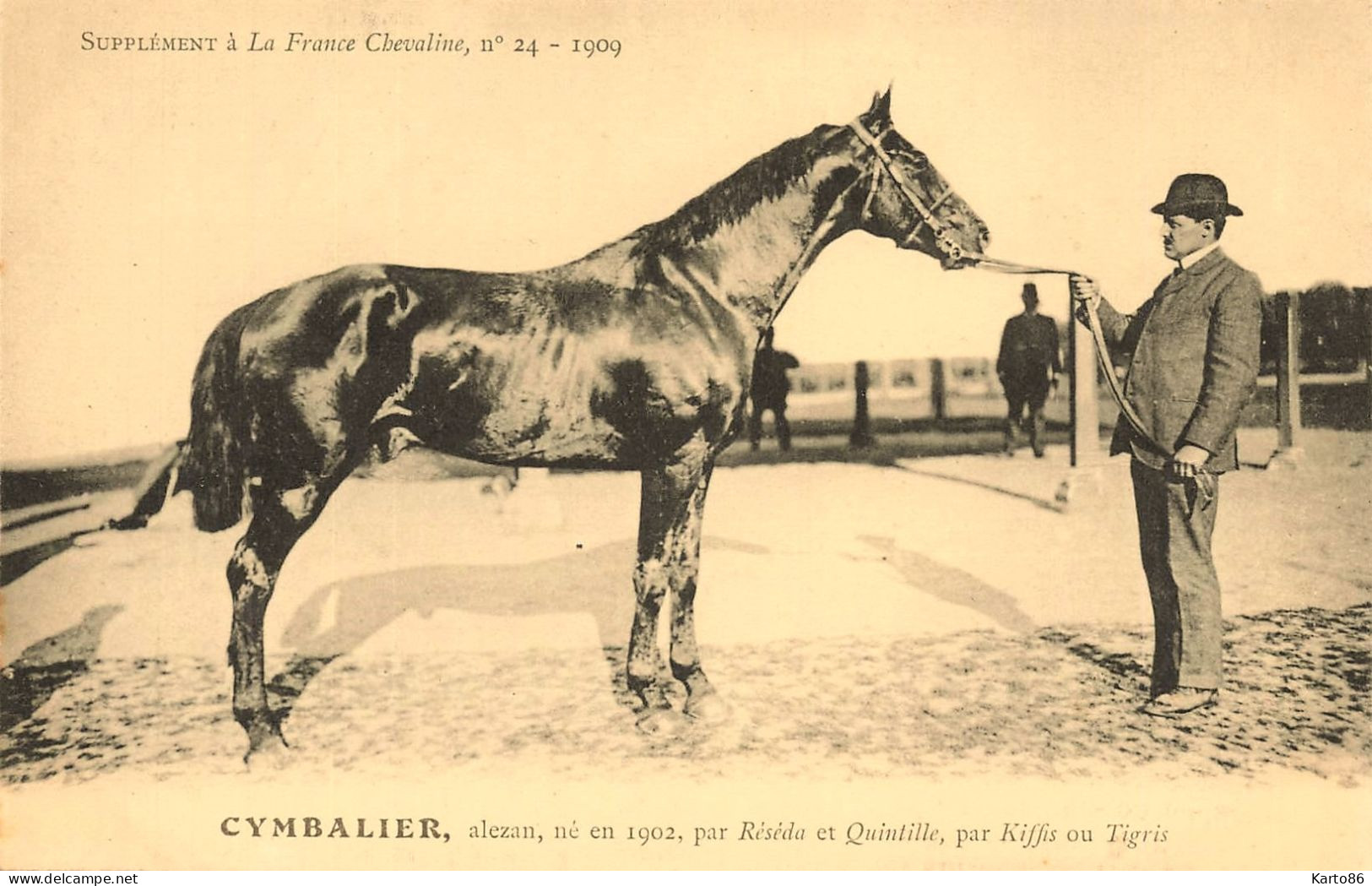 Hippisme * La France Chevaline N°24 1909 * Concours Centrale Hippique * Cheval CYMBALIER Alezan - Horse Show