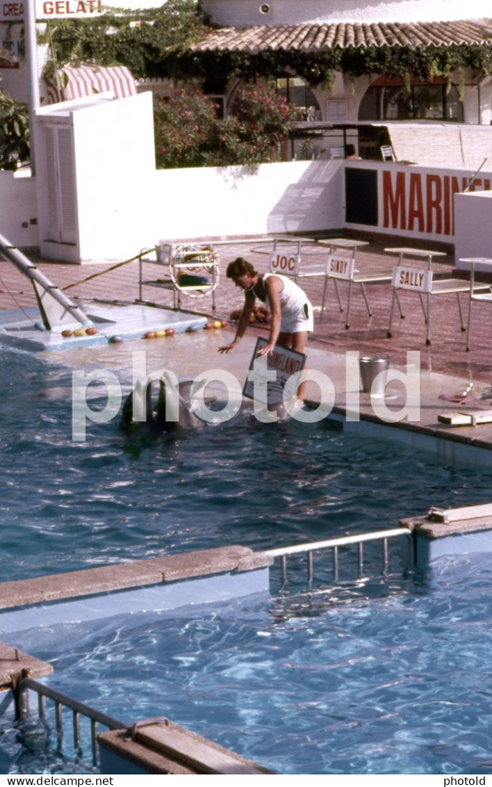 10 SLIDES SET 1984 DOLPHIN DELFINES MARINELAND MALLORCA ESPANA SPAIN AMATEUR 35mm SLIDE Not PHOTO No FOTO NB3957 - Diapositives