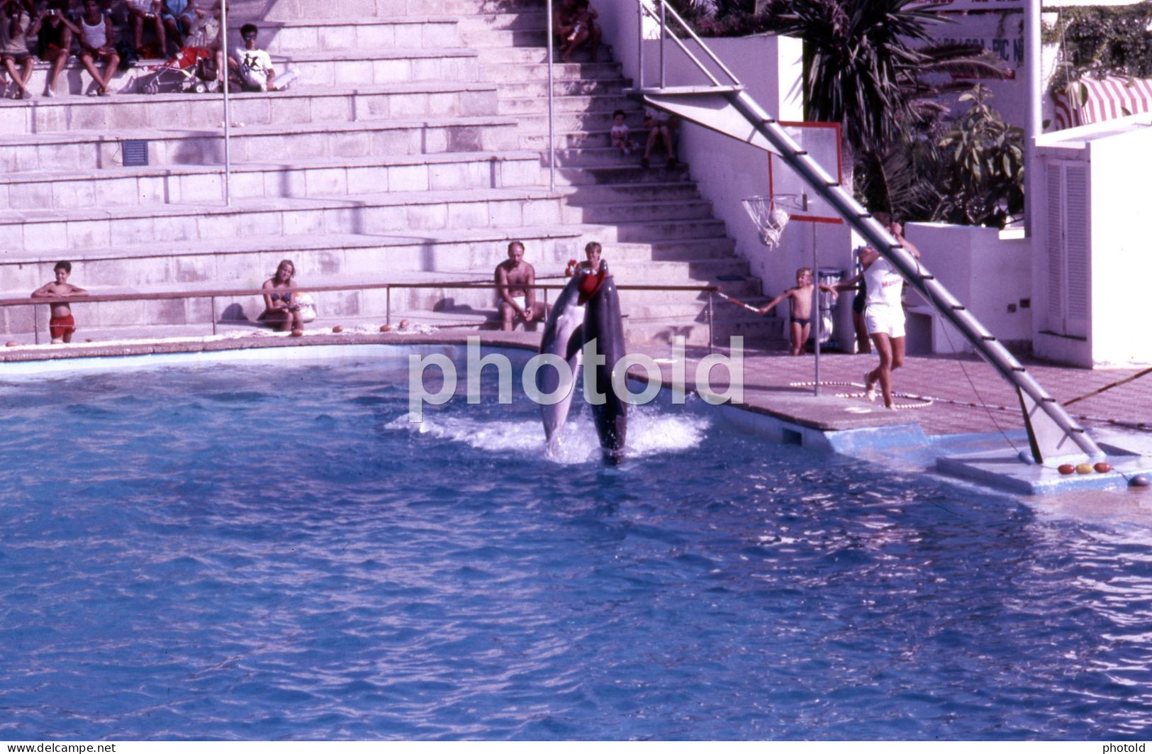 10 SLIDES SET 1984 DOLPHIN DELFINES MARINELAND MALLORCA ESPANA SPAIN AMATEUR 35mm SLIDE Not PHOTO No FOTO NB3957 - Dias