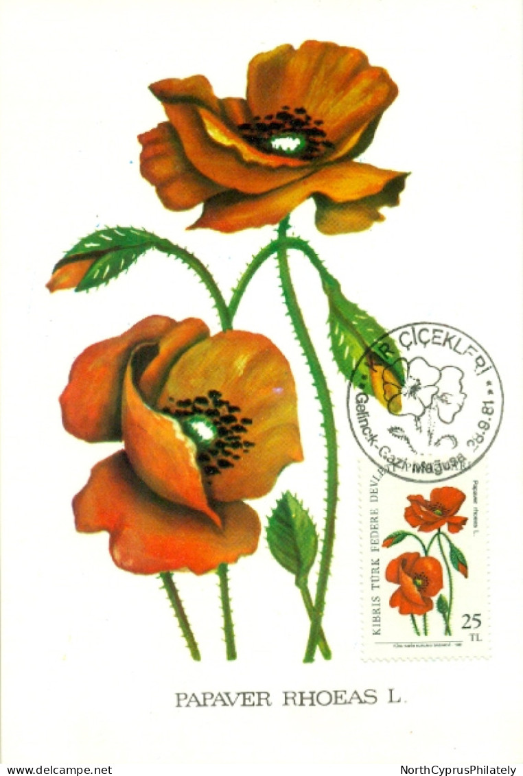 Turkish Cyprus Zypern Chypre Cipro " 1981 Flowers Papaver RHOEAS L  " Maximum Card - Other & Unclassified