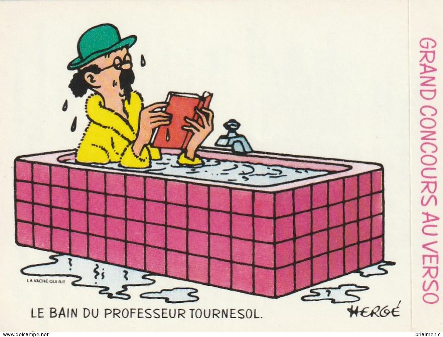 Image TINTIN De La VACHE Qui RIT 1976  Format 8 X 6  " Le Bain Du Proesseur Tournesol " - Comics